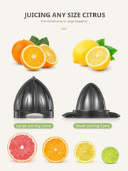 Electric juicer